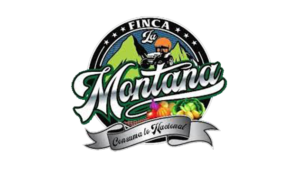 logo-montana-01